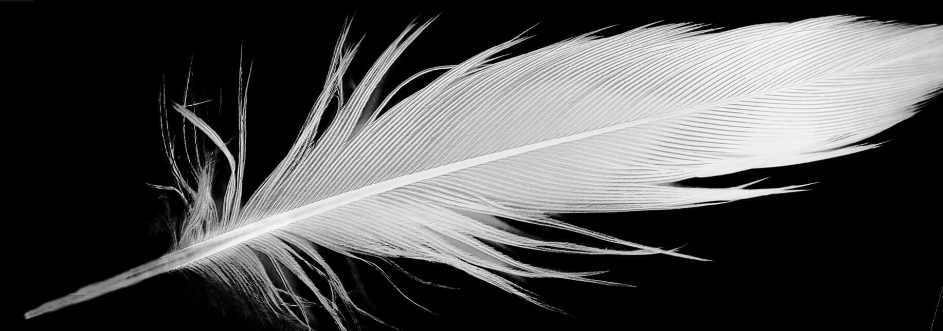 Post Cover When and how to use a contract for your sculpture