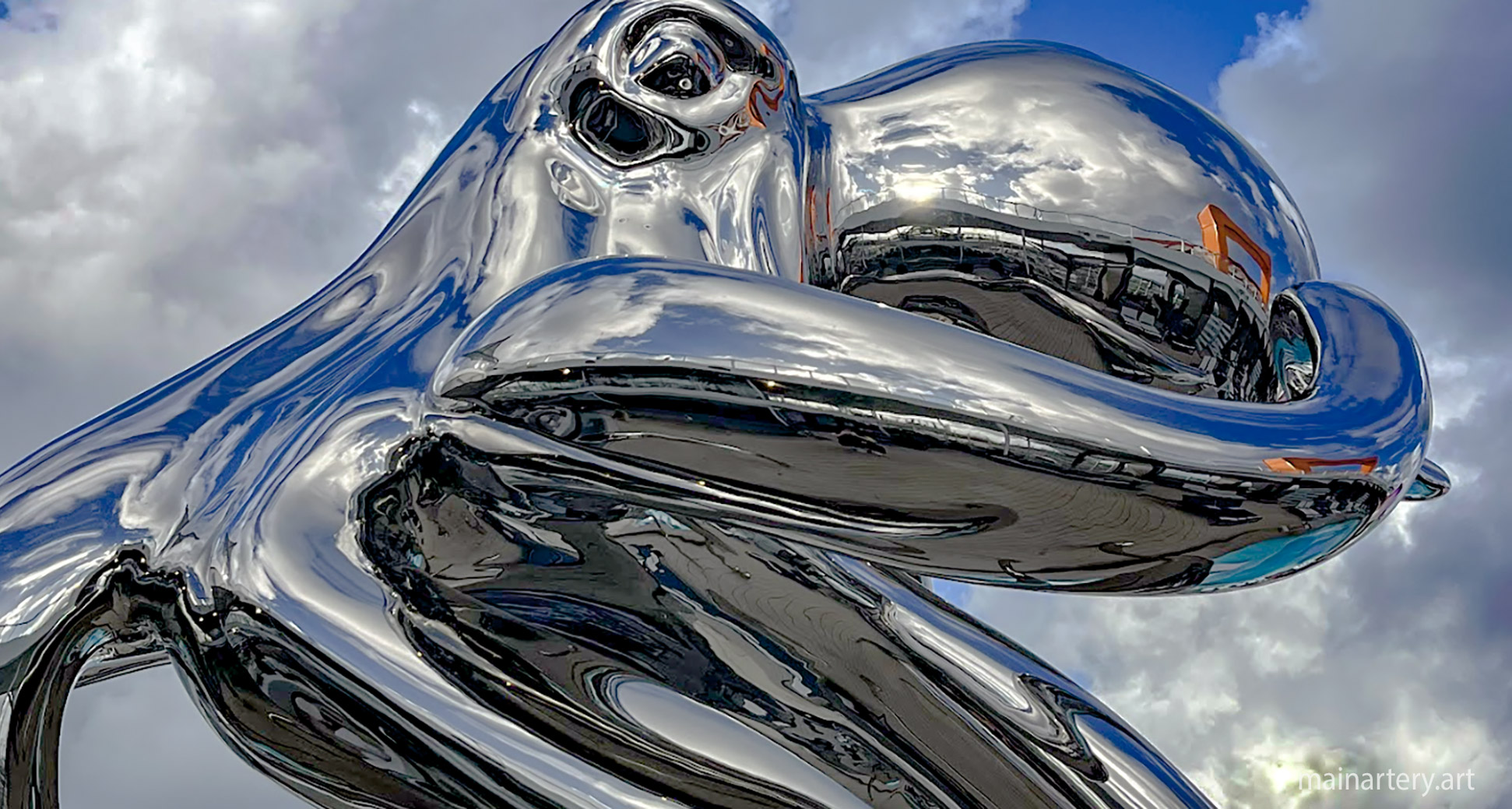 celebrity ascent stainless steel octopus head detail image